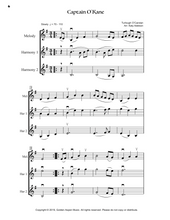 Load image into Gallery viewer, 15 Irish Fiddle Airs - Duets and Trios - Turlough O'Carolan - Easy to Intermediate - Arranged by Katy Adelson - DIGITAL DOWNLOAD