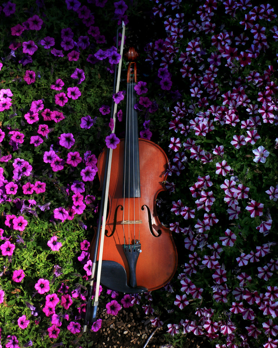 Sportsmand besejret Minister Poster: Violin with Purple Flowers – Golden Aspen Music