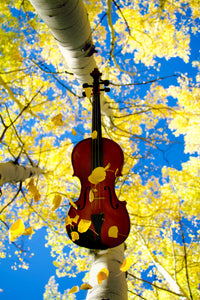 Poster: Violin with Golden Aspen Leaves