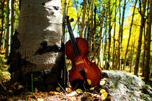Load image into Gallery viewer, Poster: Violin with Aspen Trees