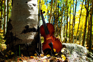 Poster: Violin with Aspen Trees